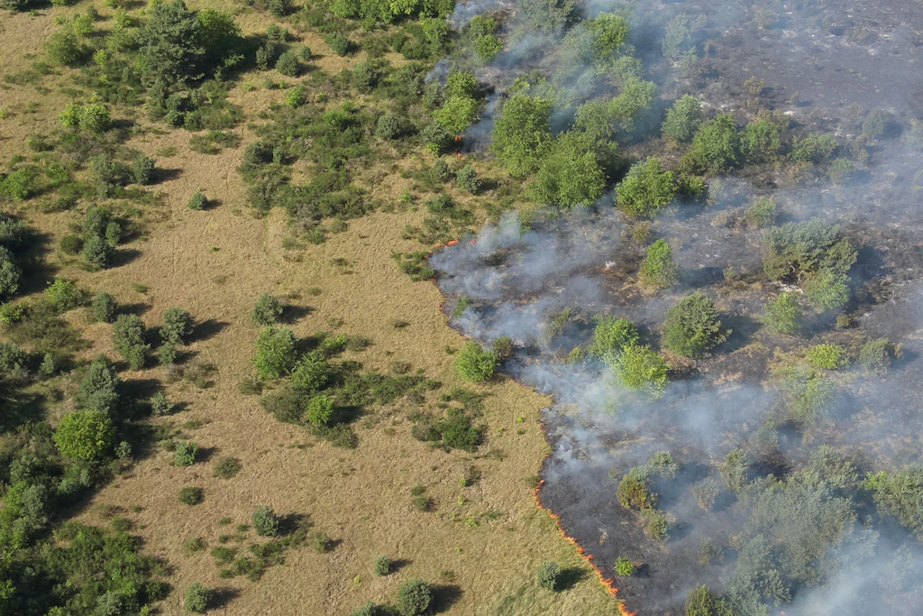 Feuerwehren sind wegen des Großbrandes bei Neustrelitz im Einsatz (Drohnenaufnahme).