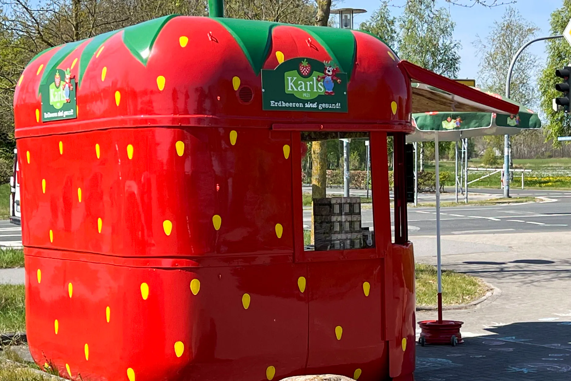 Karls Erdbeeren in Berlin von Schimmel befallen: Das steckt hinter dem Problem