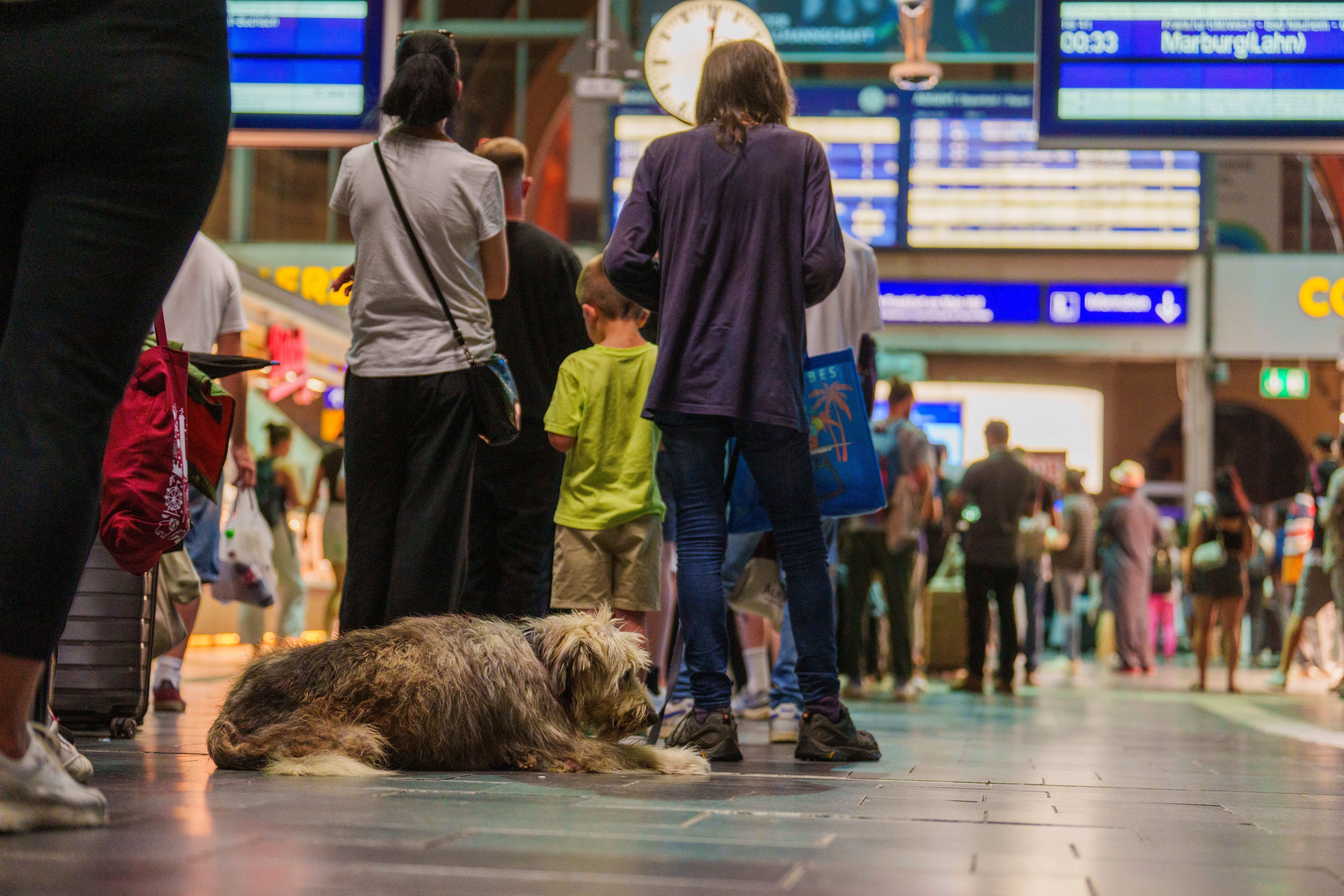 Bahn-Panne: So bekommen Sie Ihr Geld für Ticket, Taxi und Hotel zurück