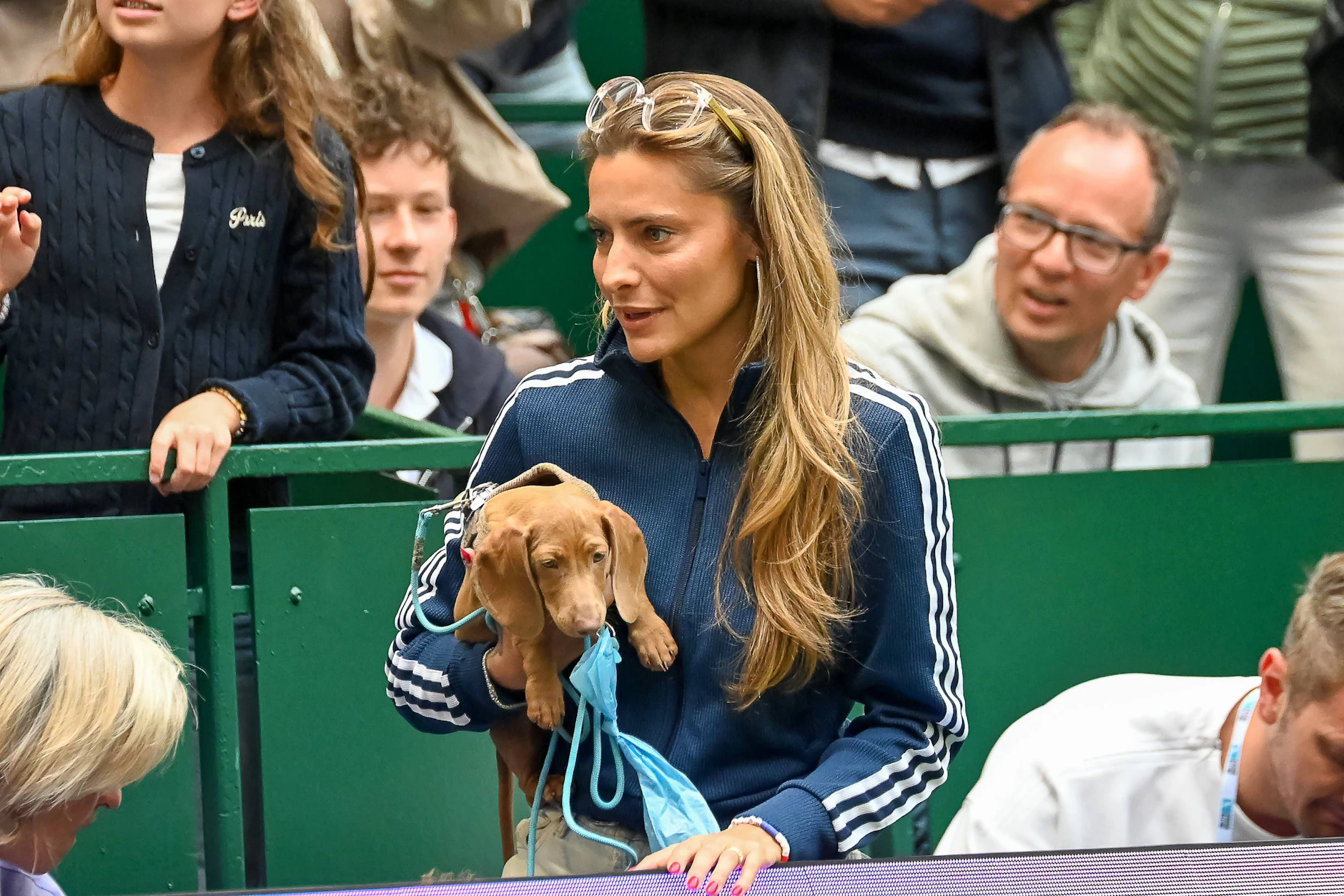 Mittlerweile lässt sich Sophia Thomalla wieder öfter bei Alexander Zverevs Turnieren blicken – wie zuletzt im Juni mit dem gemeinsamen Hund in Halle.