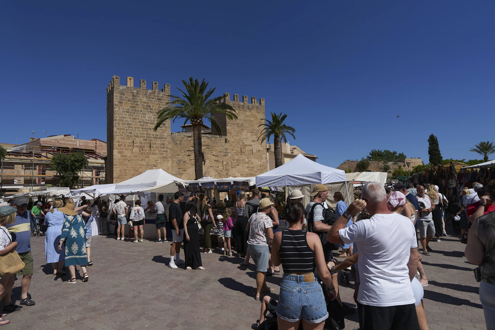 In Orten wie Alcúdia, hier der belebte Wochenmarkt an der historischen Stadtmauer, berichten besonders viele Menschen von den Faltern.