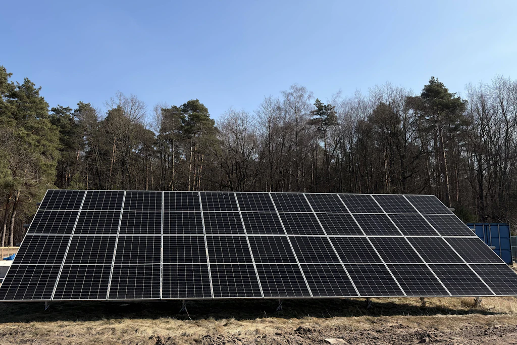 Solarpaneele mitten im Wald - dafür soll es künftig nicht mehr so einfach eine Genehmigung geben, fordert die sächsische Landesregierung. (Symbolbild)