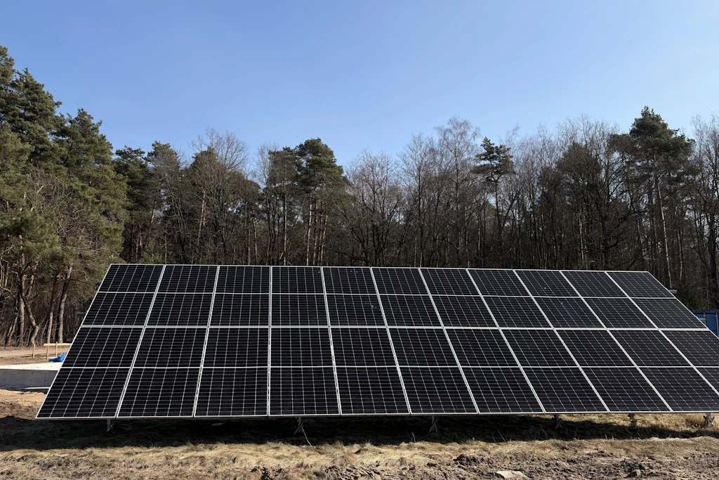 Sachsen will Solarparks im Wald stoppen