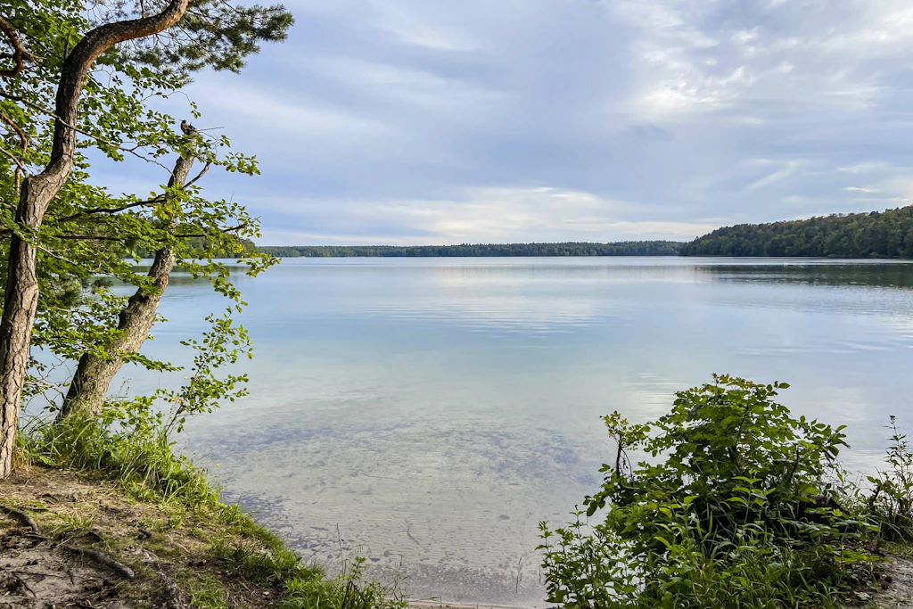 Idyllisch und bis zu 70 Meter tief: der Große Stechlinsee im Norden von Brandenburg.