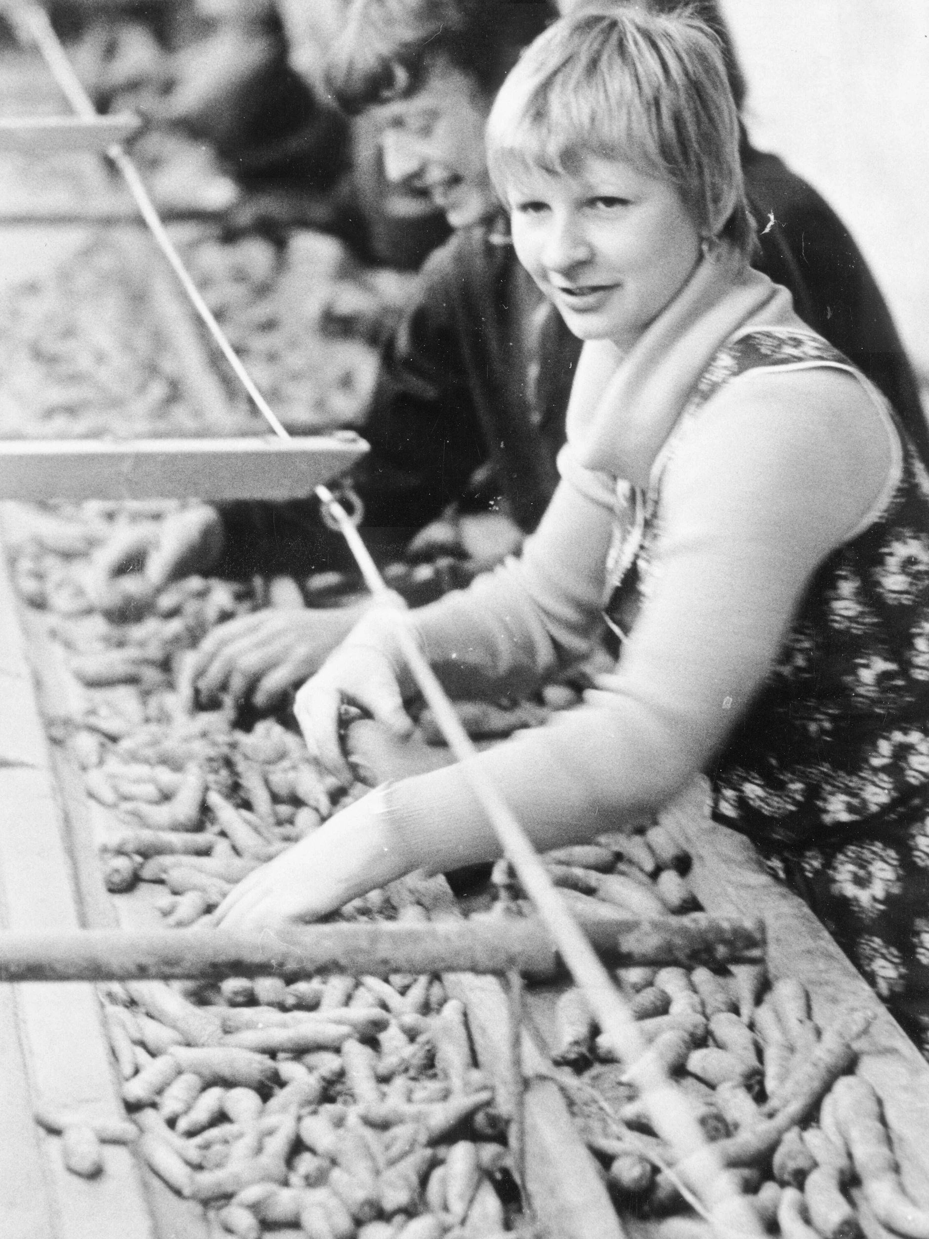 Ernteeinsätze gehörten in der DDR jedes Jahr dazu. Weil Arbeitskräfte in der Landwirtschaft fehlten, mussten auch Schüler, Studenten und Lehrlinge ran.