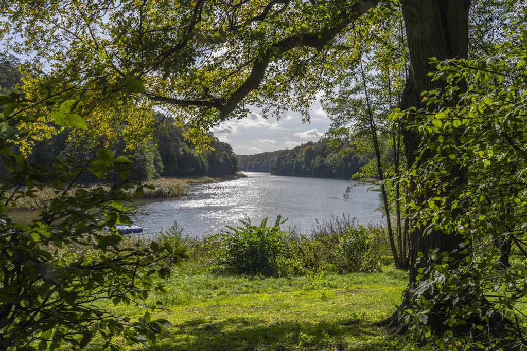 Der Gamensee im Landkreis Märkisch-Oderland lockt mit Bergsee-Idylle.