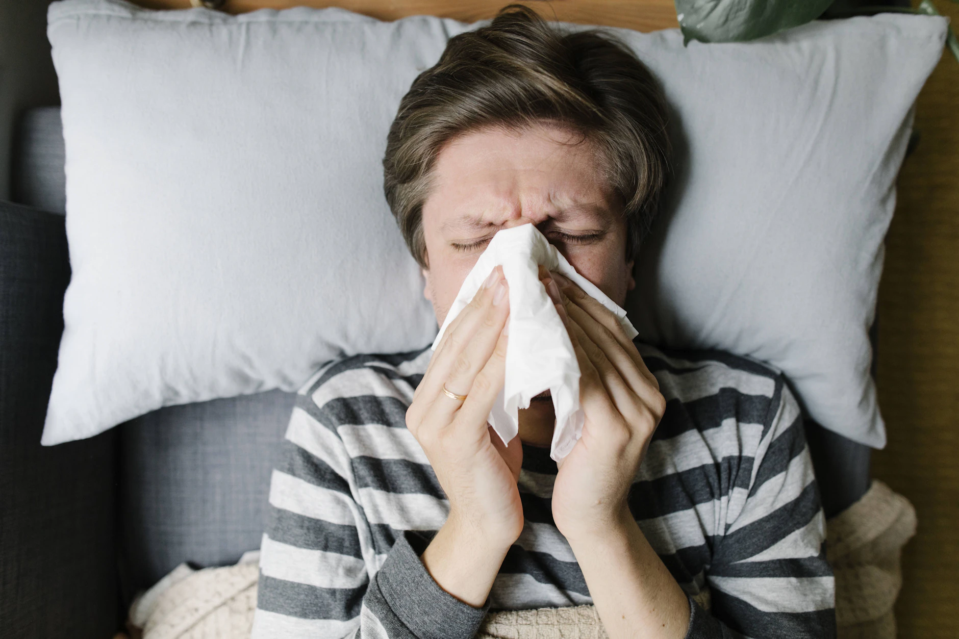 Allergiker sollten den Pollenflug im Blick behalten, wenn sie mit offenem Fenster schlafen wollen.