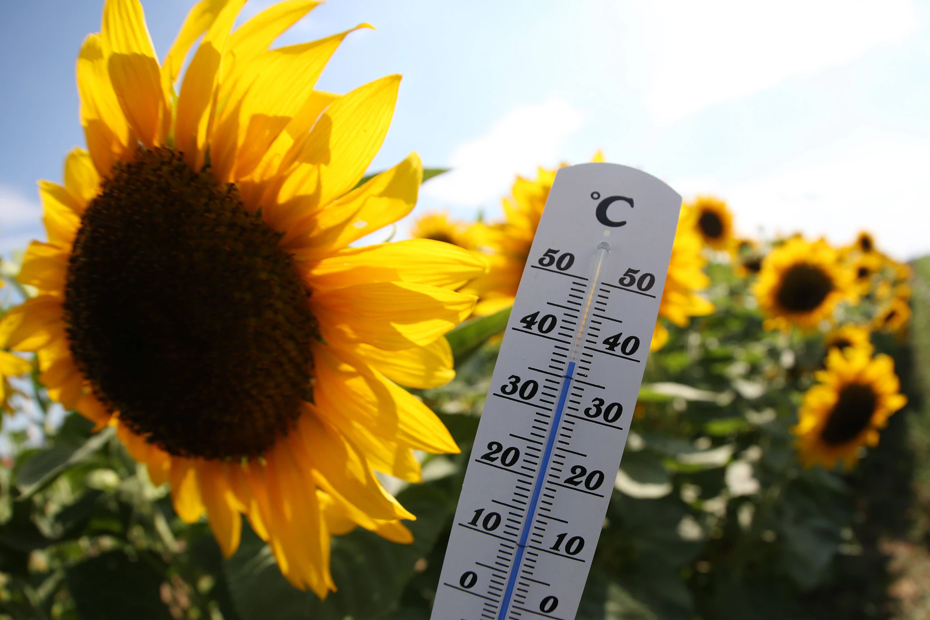 Berlin erwartet ein Hitze-Wochenende mit Temperaturen bis zu 40 Grad.
