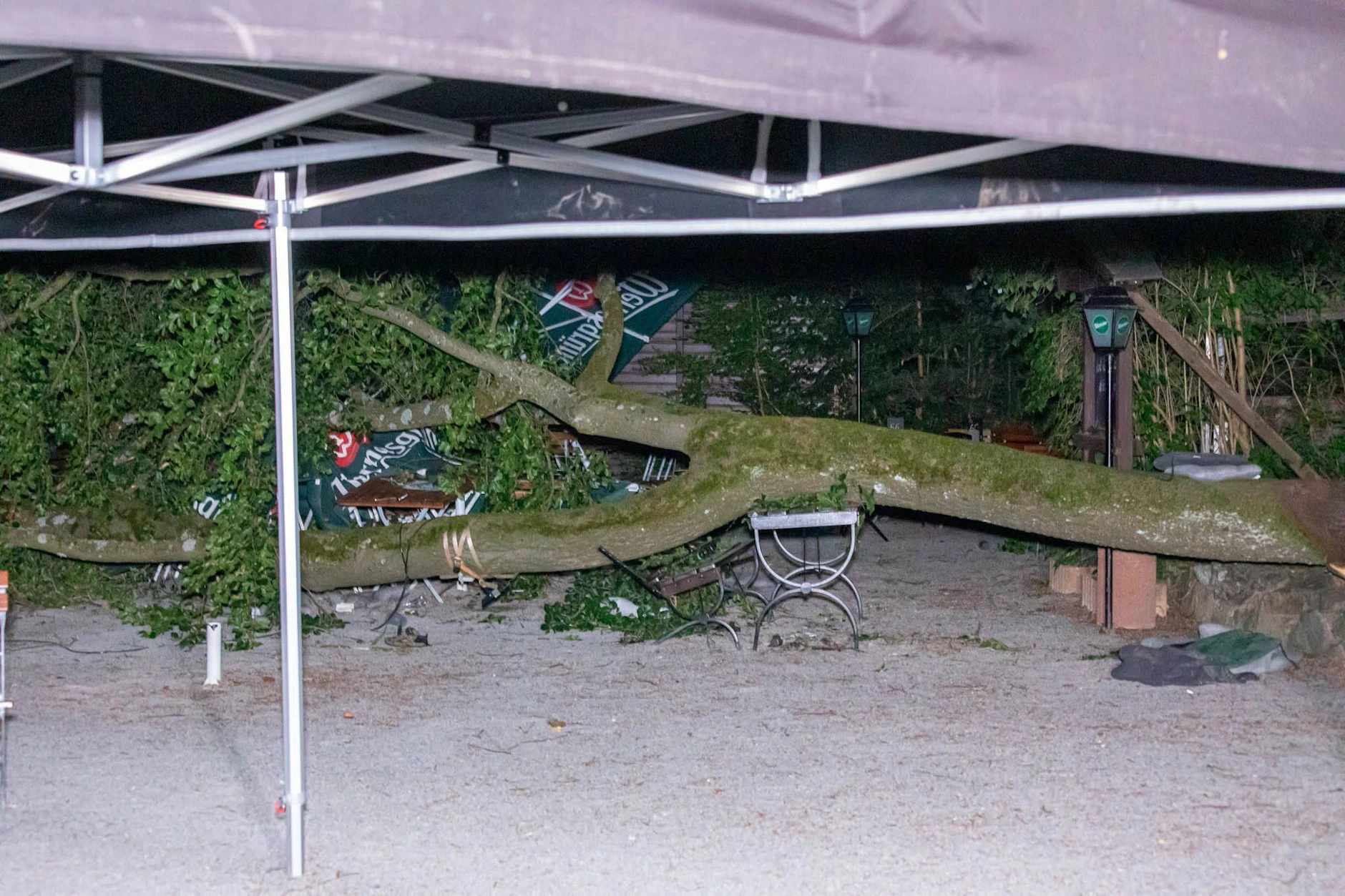 Der Ast war mehrere Meter lang und stürzte auf die Biergarten-Tische.