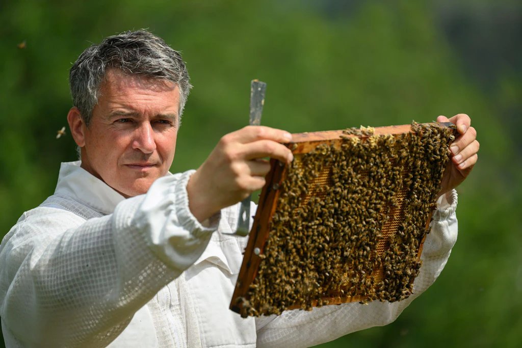 Imker Rico Heinzig kontrolliert seine Bienenkästen.