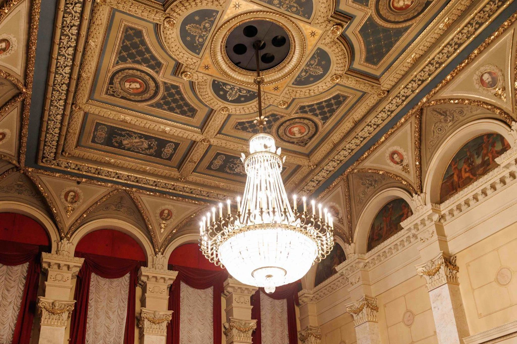 Gorki-Theater: Echter Hausschwamm wird Kosten in sechsstelliger Höhe verursachen