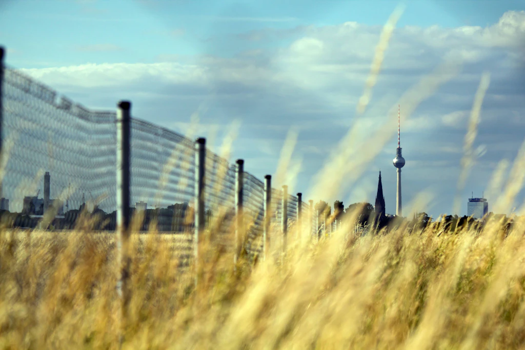 60 Prozent wollen Tempelhofer Feld bebauen: Grüne und Linke ignorieren ihre eigenen Wähler