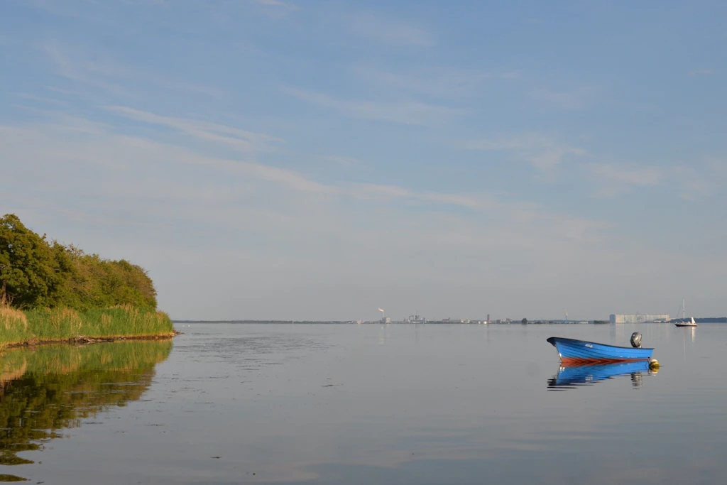 Buckelwal Timmy, der eigentlich Timmylina&nbsp;hätte heißen müssen, lag tagelang am Übergang zwischen der Kirchsee vor Poel und der Wismarer Bucht. Nur zwei Kilometer entfernt von der kleinen Insel Walfisch (hinter dem blauen Boot).