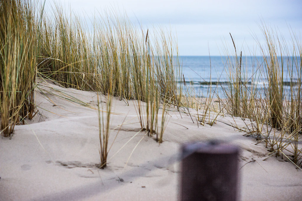 Eine Ferienanlage in bester Lage im Ostseebad Trassenheide auf Usedom wird versteigert.