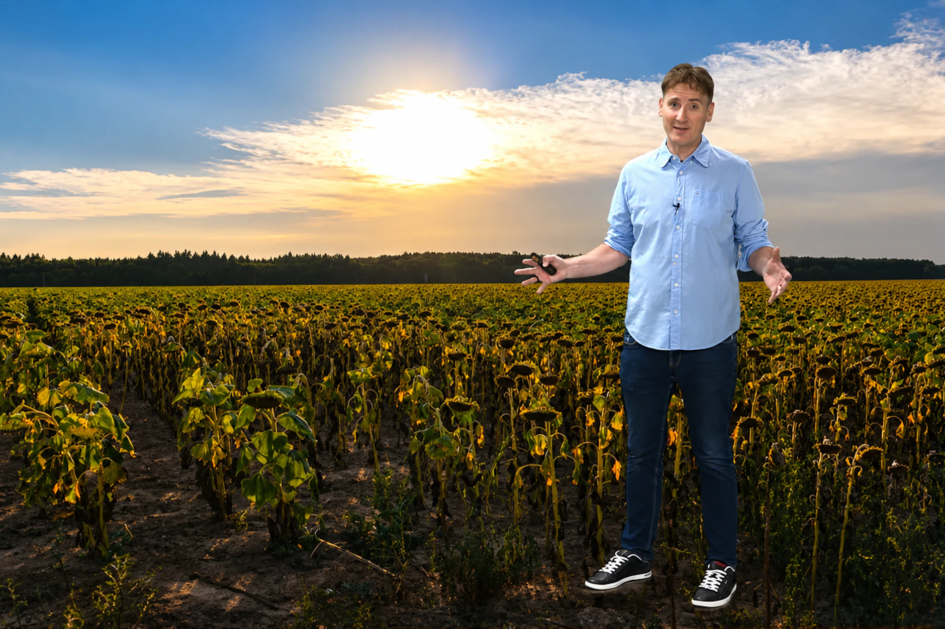 Meteorologe Dominik Jung steht vor einem verdorrten Feld mit Sonnenblumen: Die nächste Hitze ist zu uns unterwegs.
