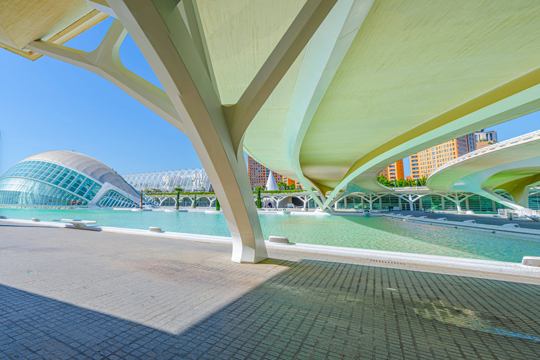 Valencia verbindet wie keine zweite Stadt Kultur und Natur - optimal für Alleinreisende!