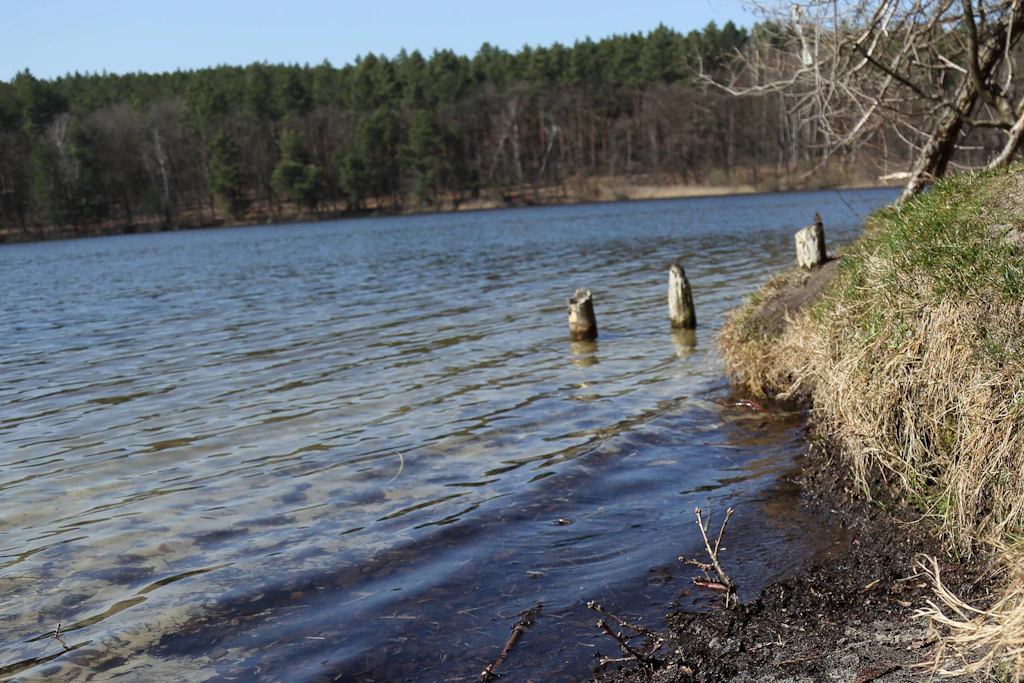 Der Sacrower See liegt ein bisschen abgelegen mitten im Wald.