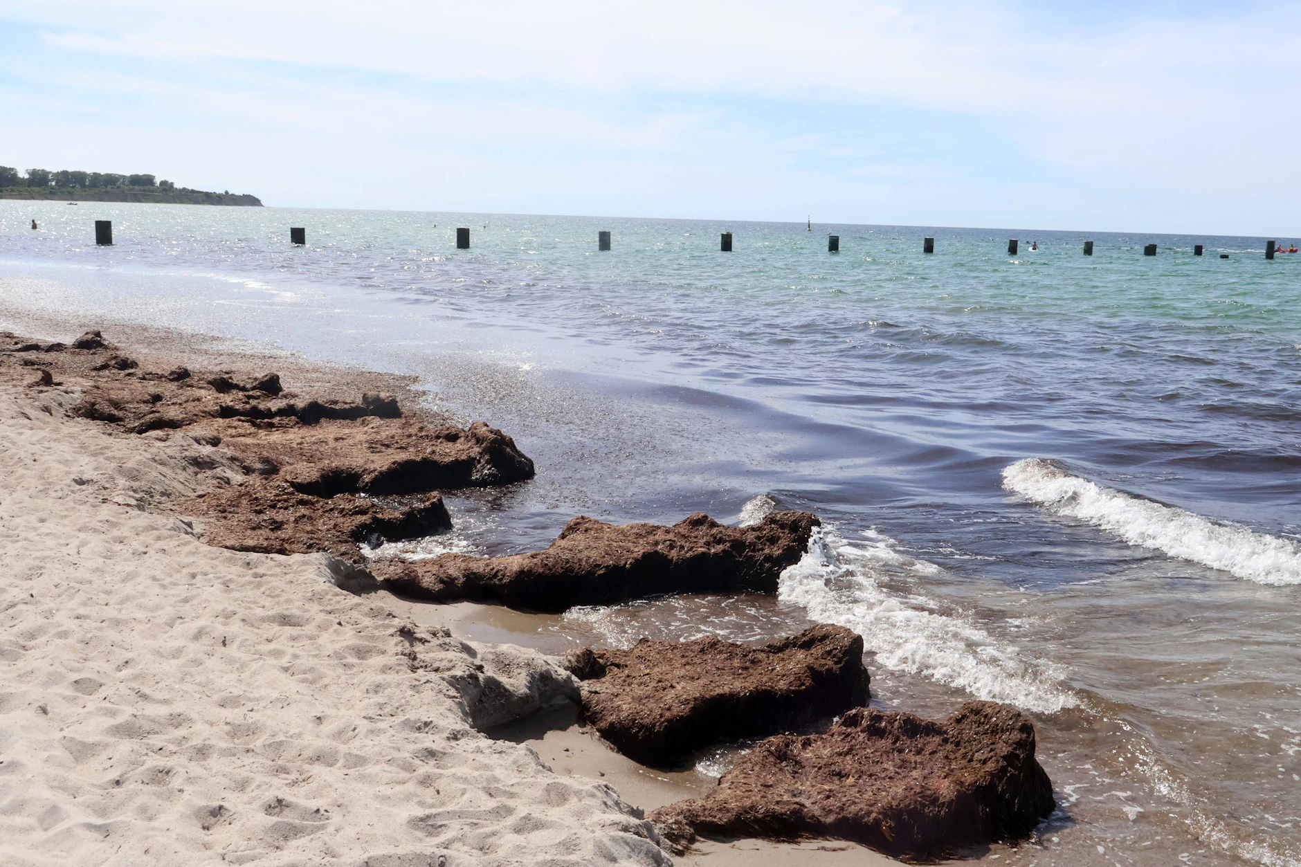 An den Stränden an der Ostsee liegt derzeit viel Seetang (Archivbild).
