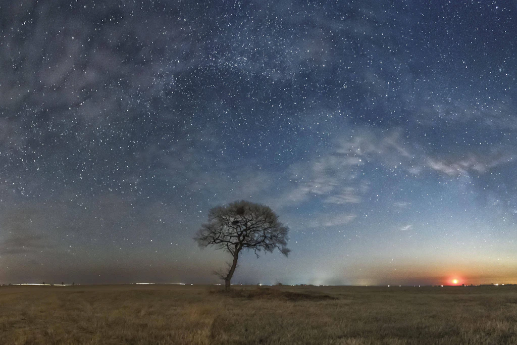 Unser Blick auf die eigene Galaxie reicht nur bis hierher: das Band der Milchstraße über einem einzelnen Baum.