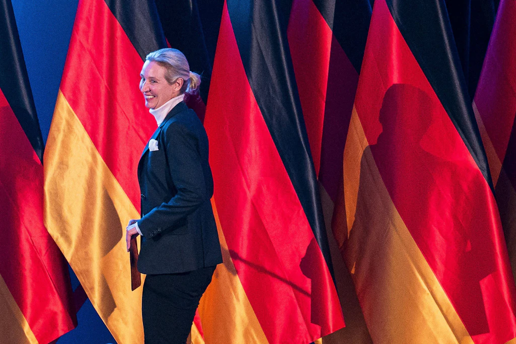 Parteichefin Alice Weidel.
