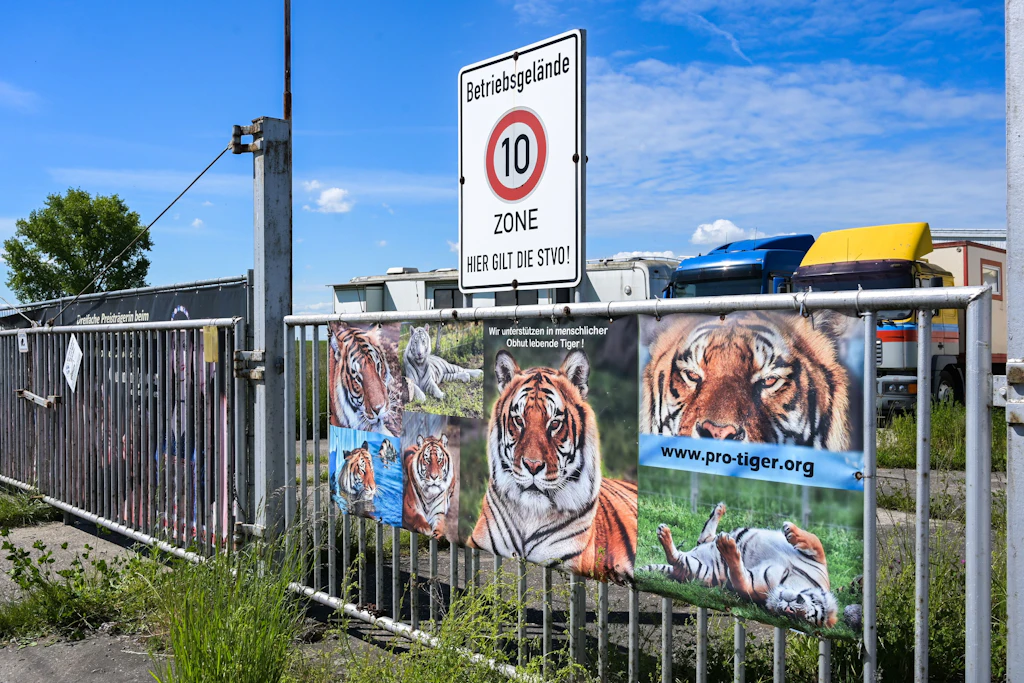 Ein Mann ist nach einem Angriff durch einen Tiger bei Leipzig gestorben.