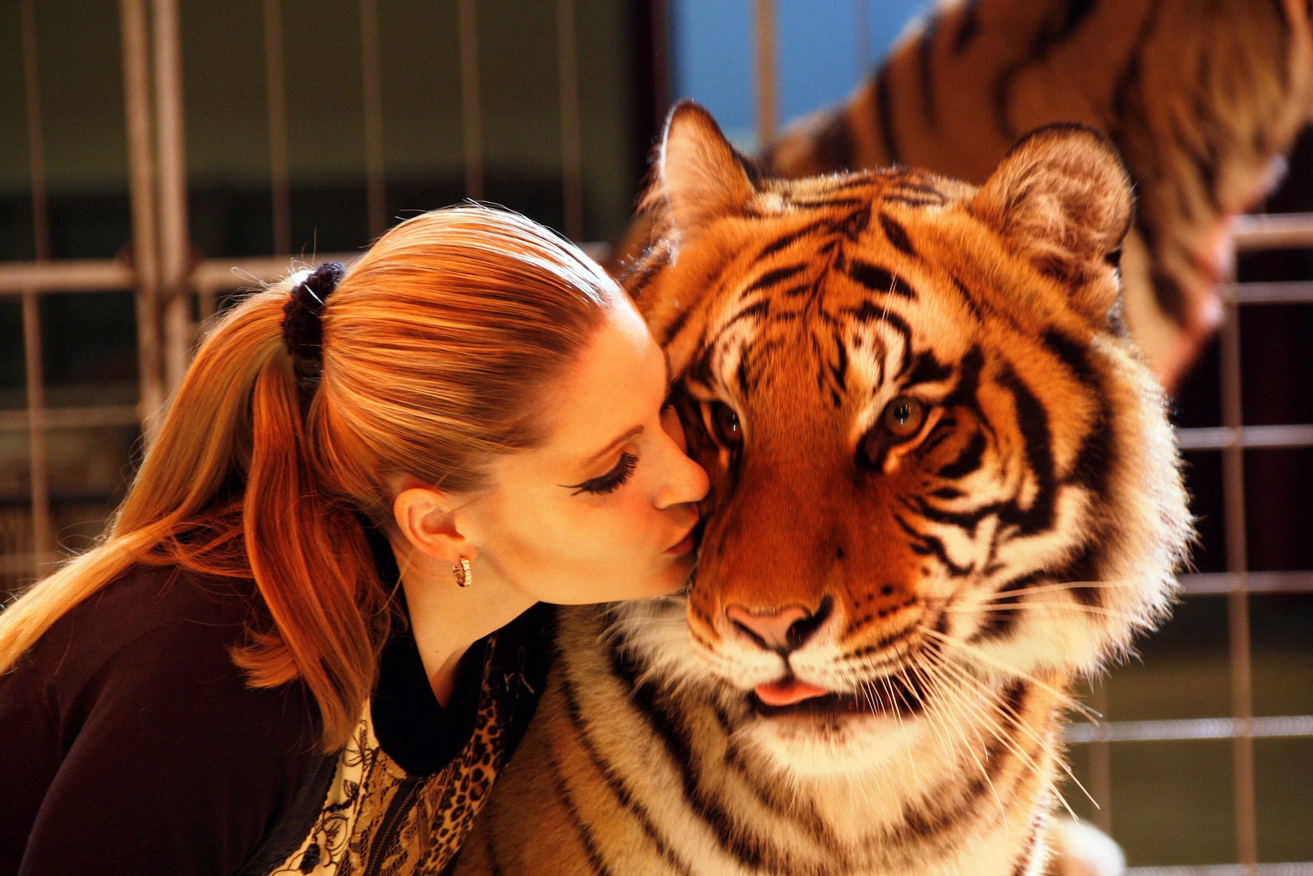 Dompteurin Carmen Zander im Dezember 2007 mit einem ihrer Tiger.