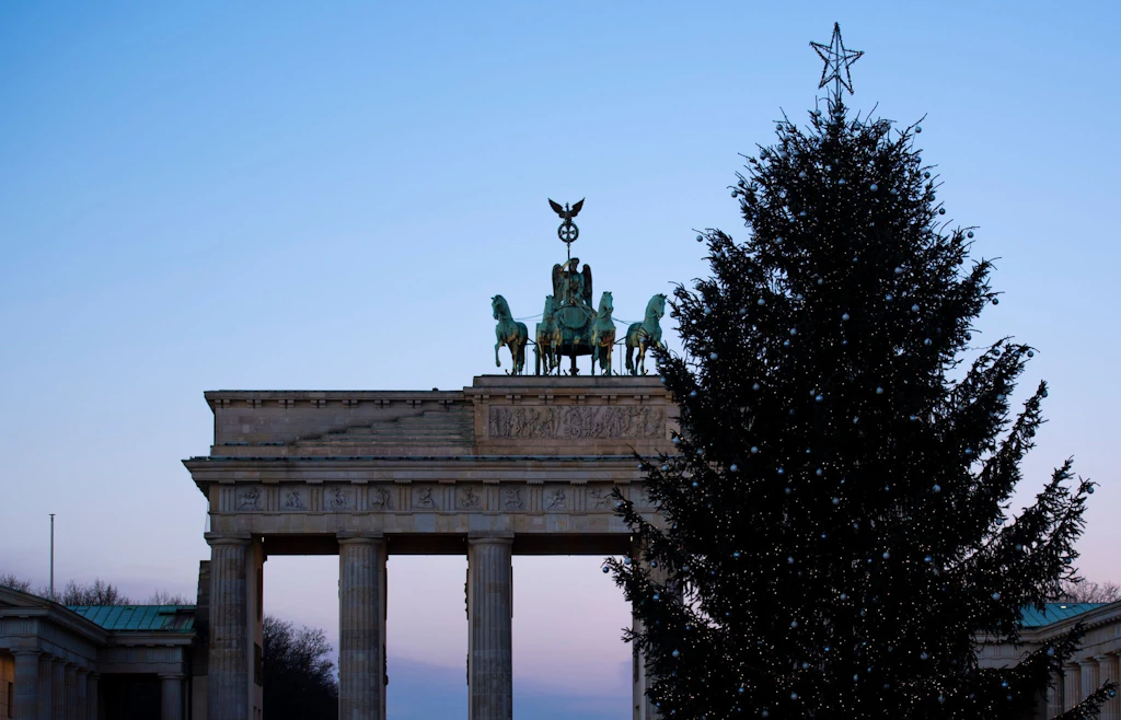 Blaufichte aus Sömmerda wird Weihnachtsbaum am Brandenburger Tor