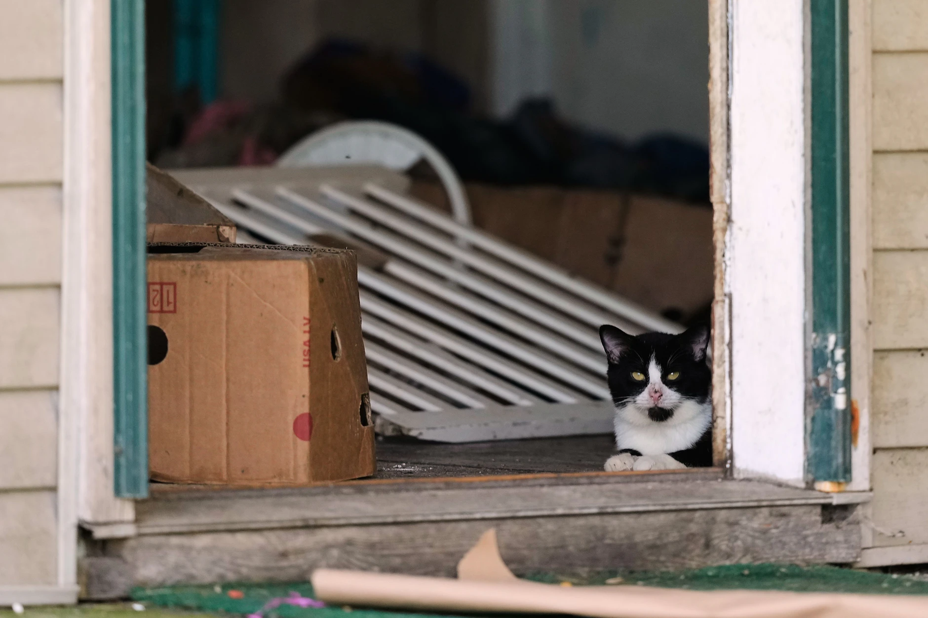 Blick in das vermüllte Haus, in dem 16 Kinder und offenbar auch eine Katze lebten.