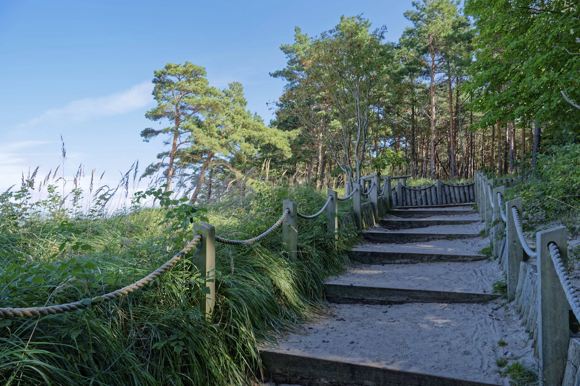 Stufen auf dem mit Geländern eingefassten Gehweg zum Strand im Nationalpark Wolin - ein Naturhighlight an der Ostsee.