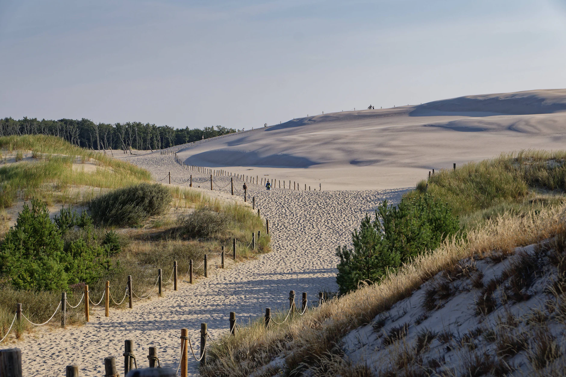 Die Wydma Lacka ist die größte und bekannteste Wanderdüne in Polen. Sie liegt nahe dem Badeort Leba.