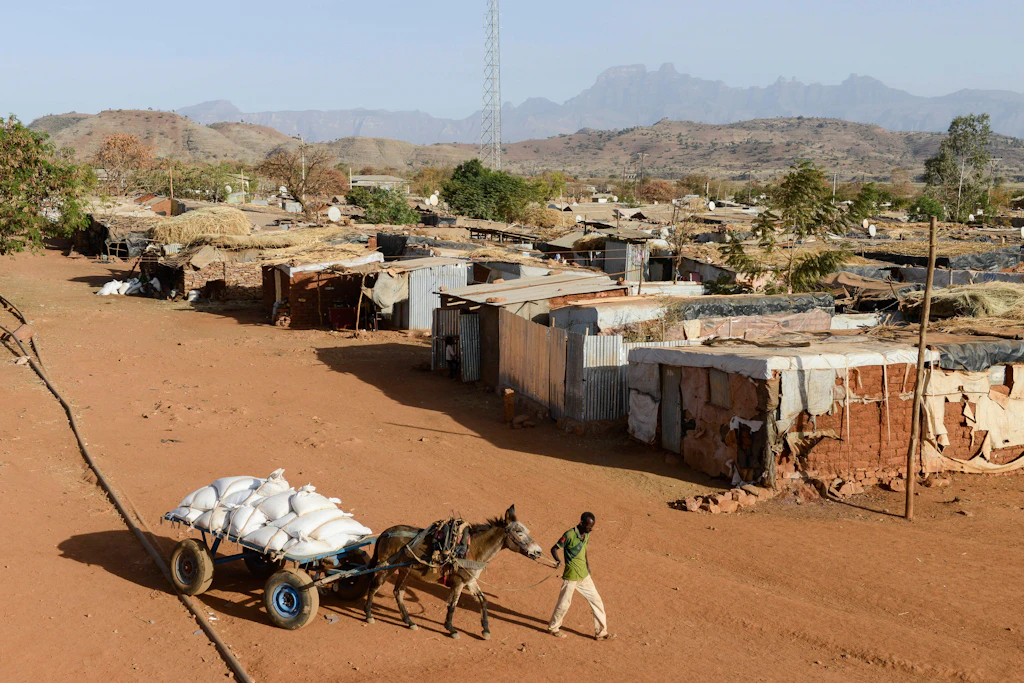 Ein Pferdewagen transportiert Lebensmittelhilfen des Welternährungsprogramms im Lager May-Ayni für eritreische Flüchtlinge in der äthiopischen Region Tigray. Neue Kämpfe und Spannungen zwischen Äthiopien und Eritrea bedrohen die Stabilität der Region.