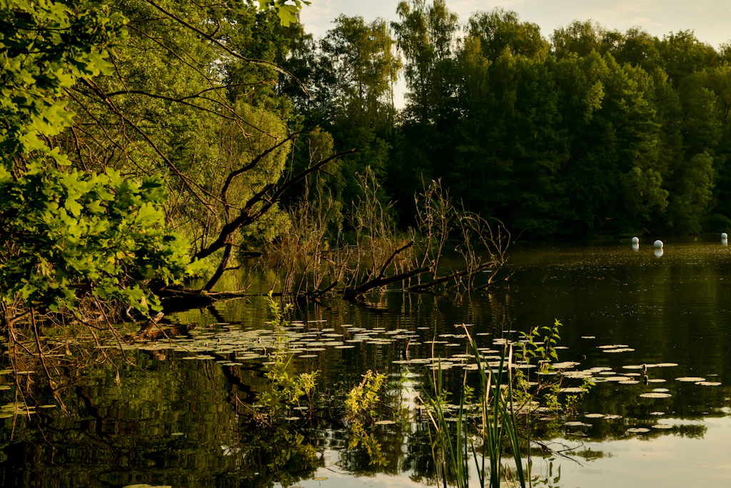 Der Teufelssee: An diesem schönen Fleck Natur verbringen die Kinder die Zeit im Camp.