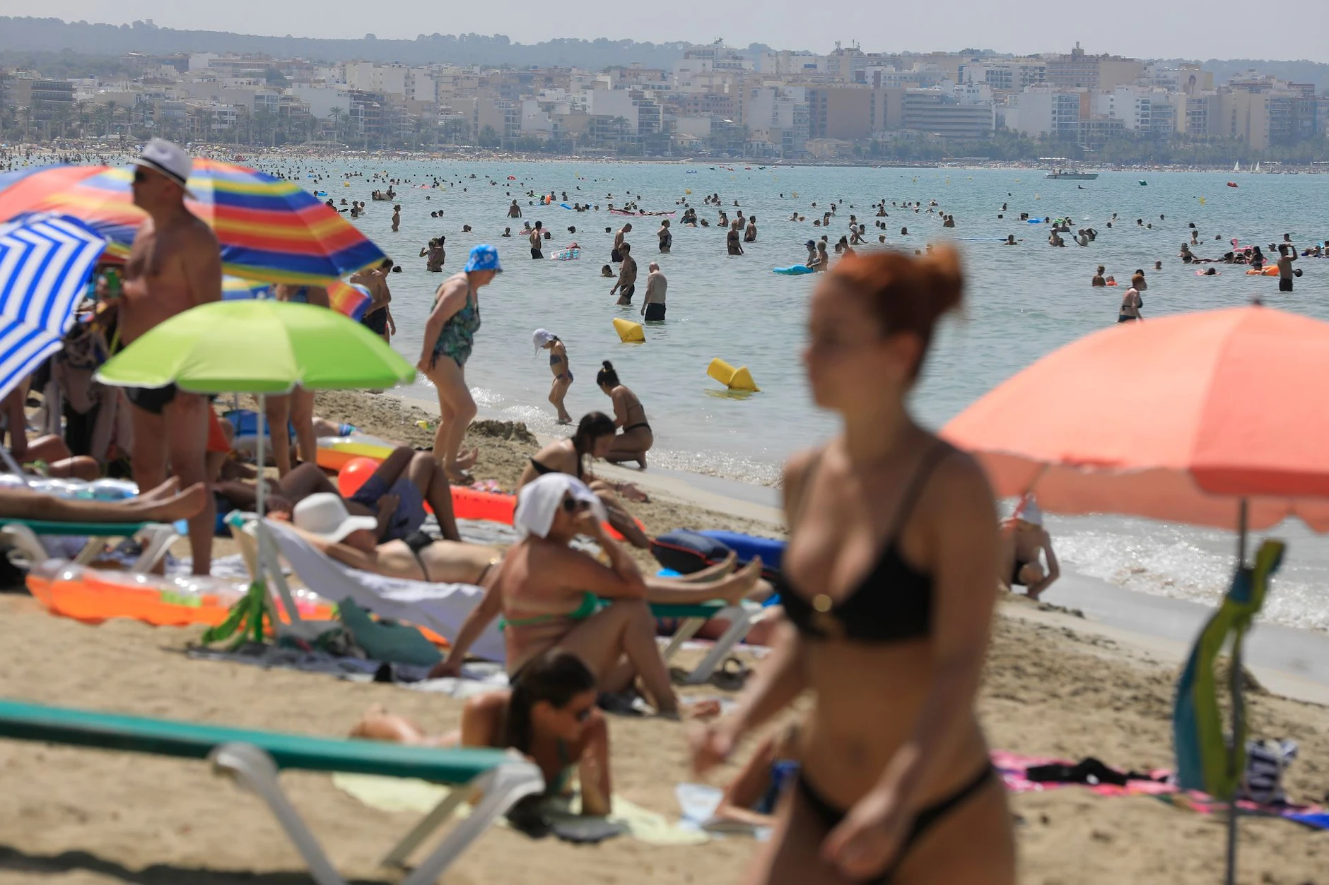 <a href="https://www.berliner-kurier.de/panorama/tuerkei-und-bulgarien-sind-guenstiger-als-die-ostsee-li.10130502">Mallorca gehört zu den Zielen, die immer schwerer bezahlbar sind</a> für deutsche Urlauber.