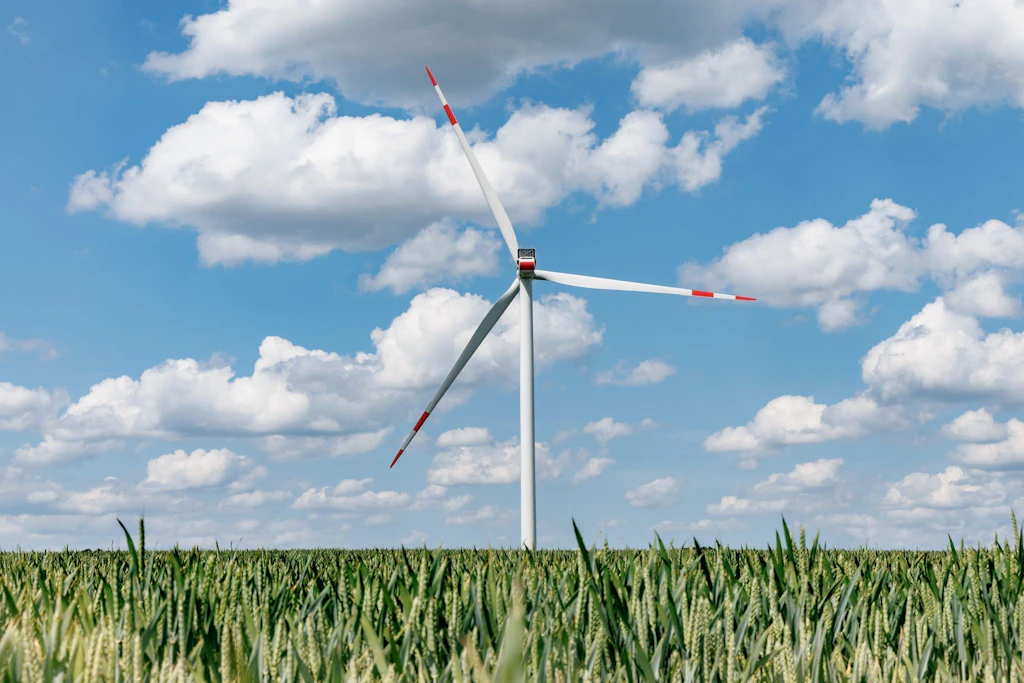 Vor allem im Nordosten stehen sie: Windräder. Und davon profitiert: der Südwesten.