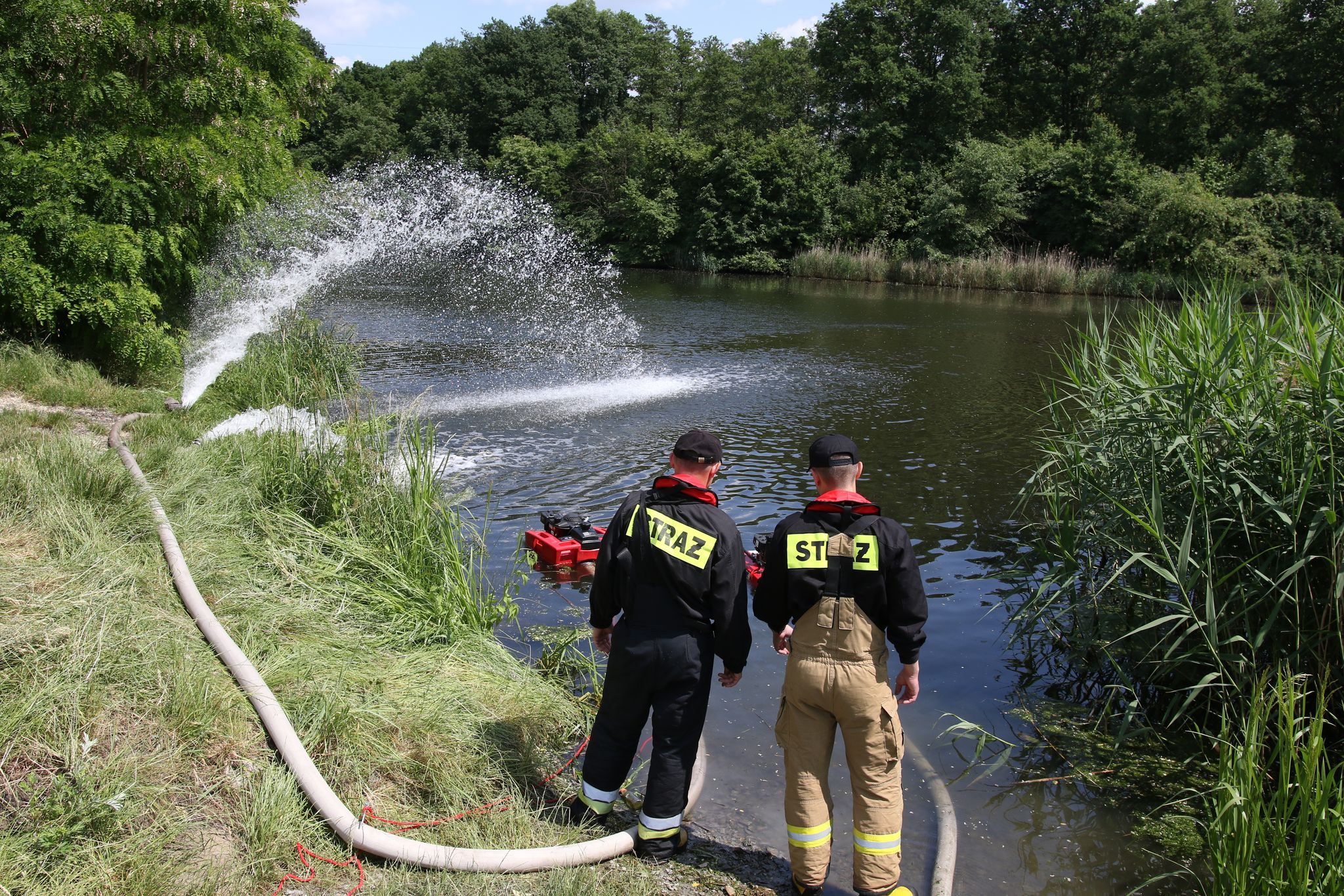 Goldalge im Gleiwitzer Kanal in Polen: Mehr als vier Tonnen toter Fische