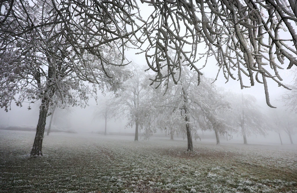 Bauernregel warnt vor Kälteeinbruch: Der Winter kommt schon in zwei Wochen
