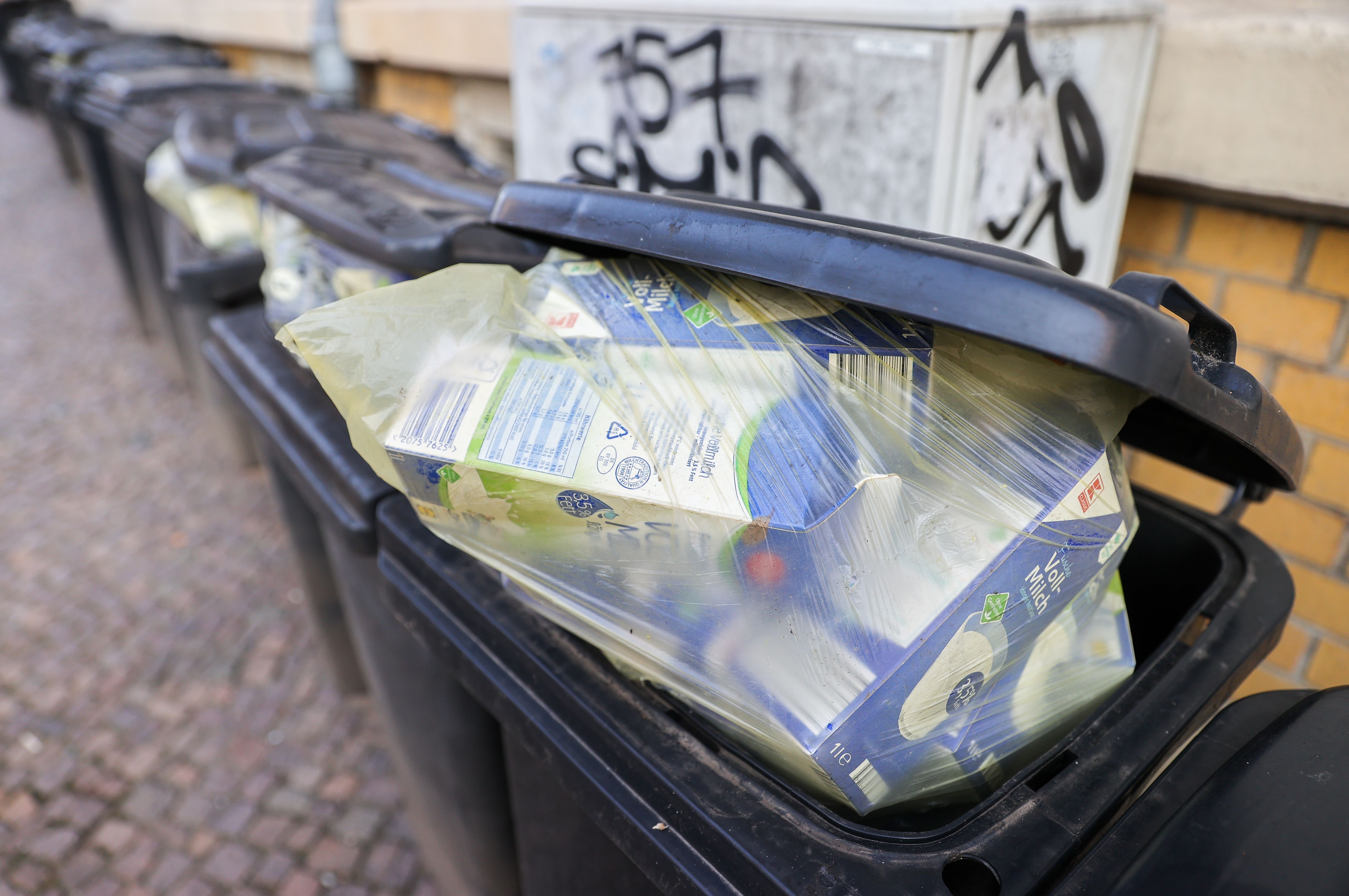 TransformArt in Güstrow: Festival macht aus Abfall Kunst