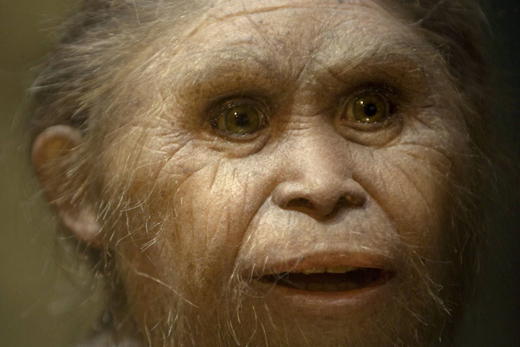 So könnte Homo floresiensis ausgesehen haben: Die Rekonstruktion zeigt die kleinwüchsige Menschenart, die bis vor rund 50.000 Jahren auf Flores lebte.