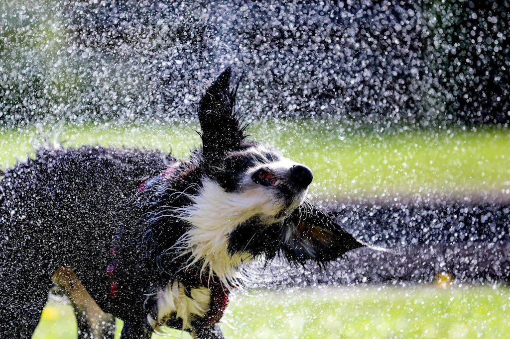 Neue Hitzewelle in Deutschland: Temperaturen über 35 Grad erwartet