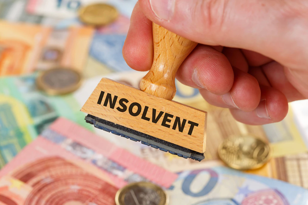 Red Rebane aus Schwerin insolvent: Was aus der beliebten Taschenmarke wird