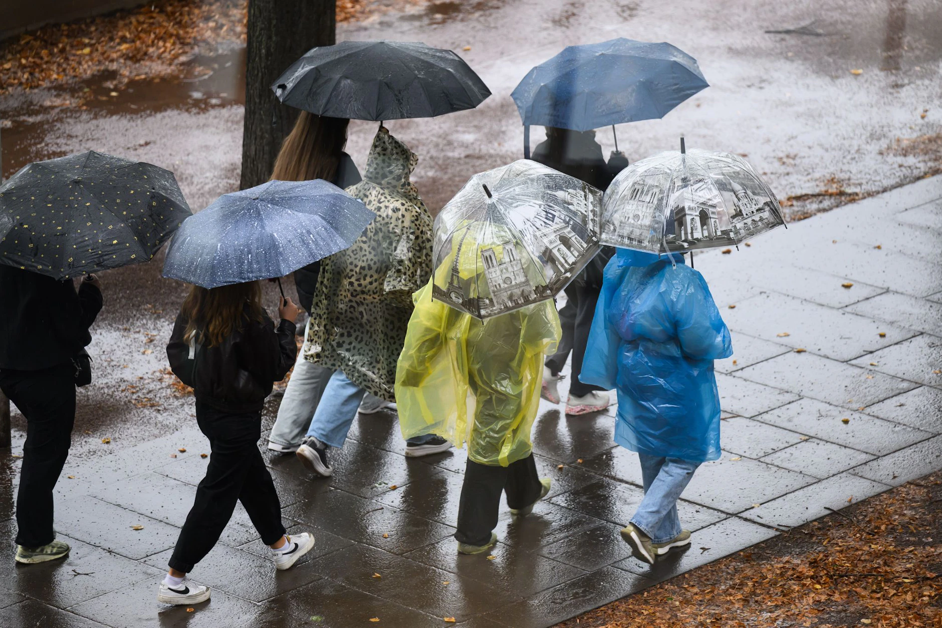 Bleibt das Regenwetter oder kommt eine neue Hitzewelle?