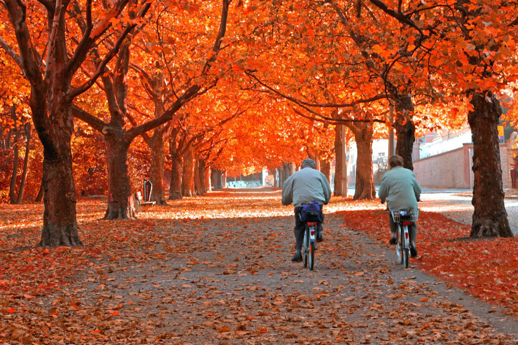 Perfekter Altweibersommer: Für den 29. September wird ein sonniger Herbsttag vorhergesagt.