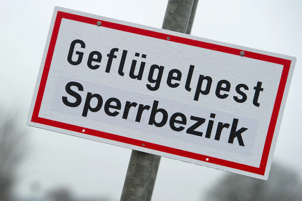 Für das Jahr 2026 sprach der 100-jährige Kalender von einem verstärkten Auftreten von Tierseuchen.