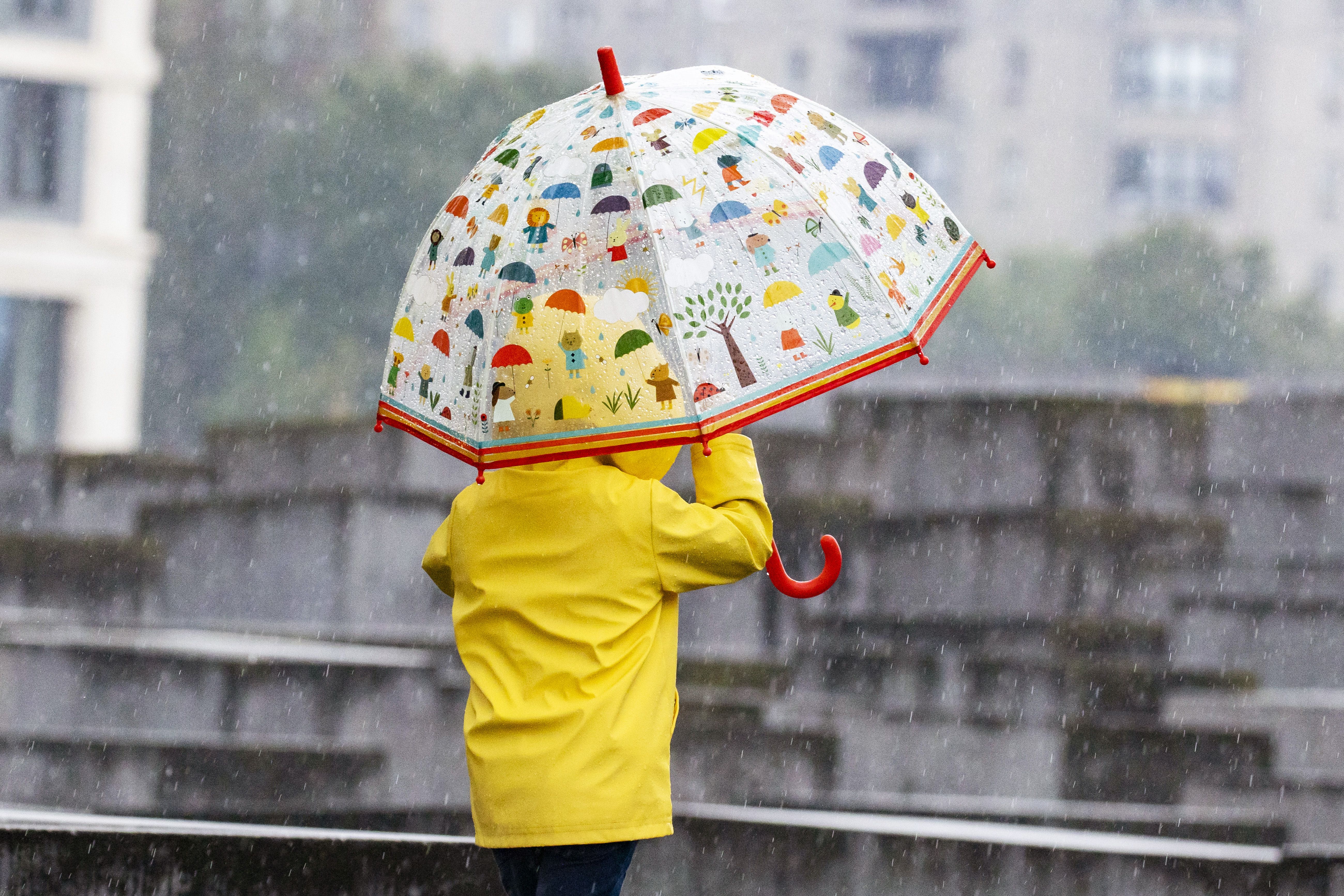Bis zu 50 Liter Starkregen und Sturmböen: Hier sind Gewitter ab Nachmittag besonders heftig