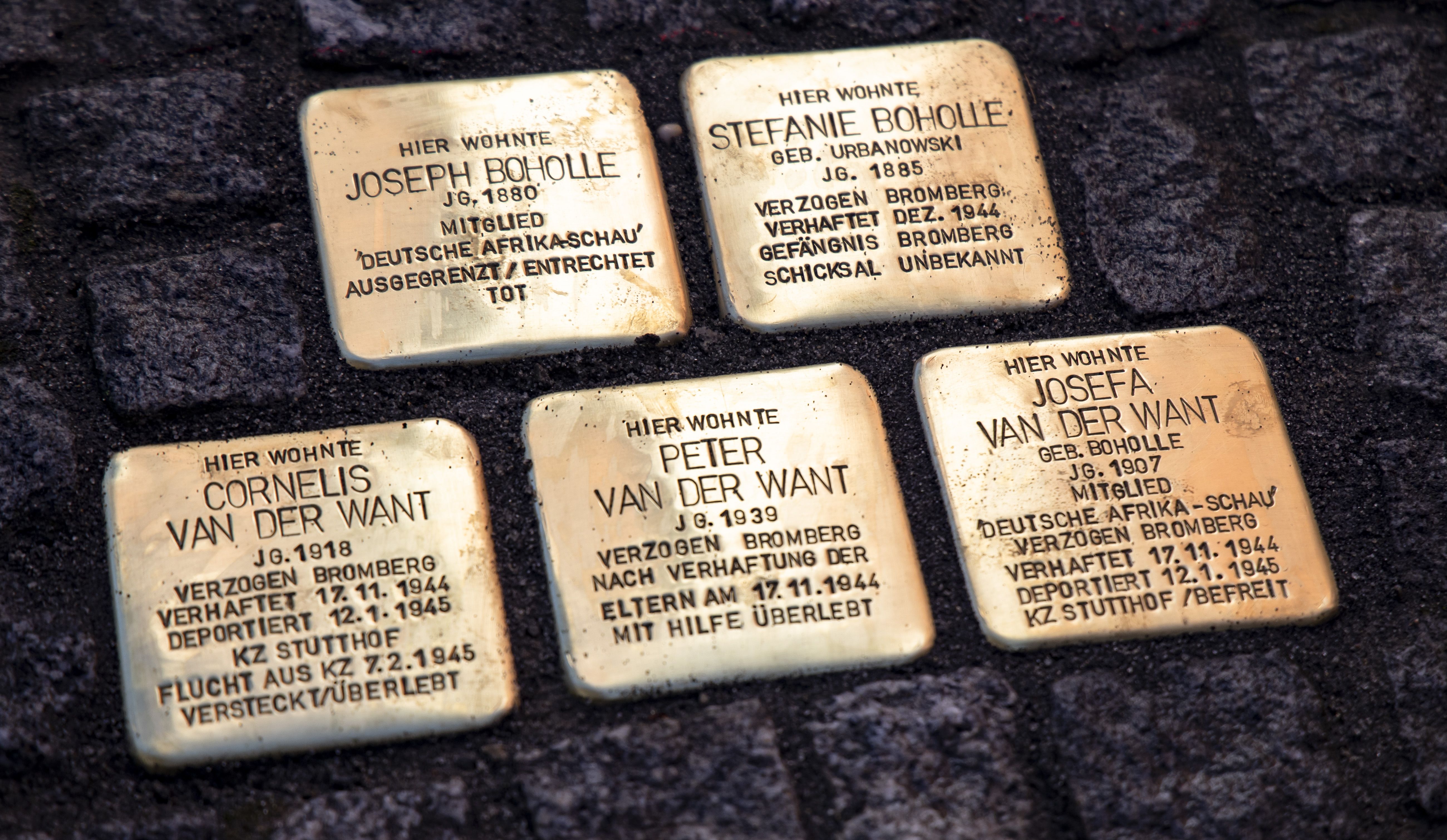 Sächsische Schweiz: Heidenau beschließt Verbot für Stolpersteine