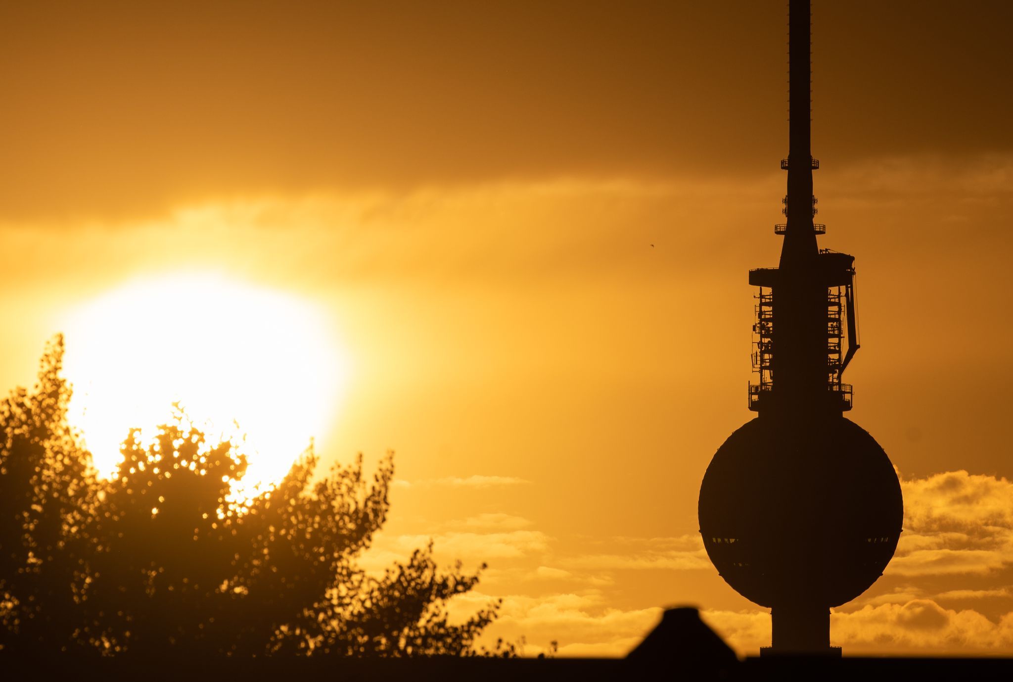 Neue Hitzeglocke über Berlin? Was Meteorologen jetzt befürchten – und wie Sie sich vorbereiten