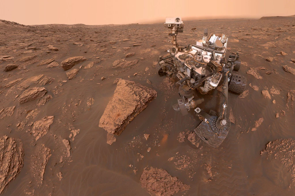 Sonde Curiosity auf dem Mars: Kann das Wüstenmoos Syntrichia caninervis hier Grundlagen für eine Besiedelung schaffen?