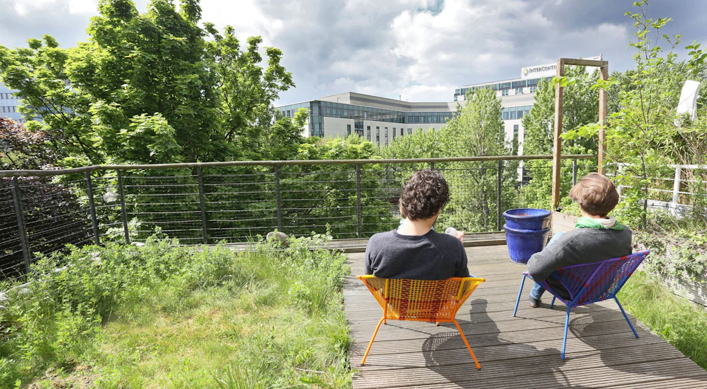Hitze, Starkregen, wenig Platz: Warum Berlin jetzt auf seine Dächer steigt