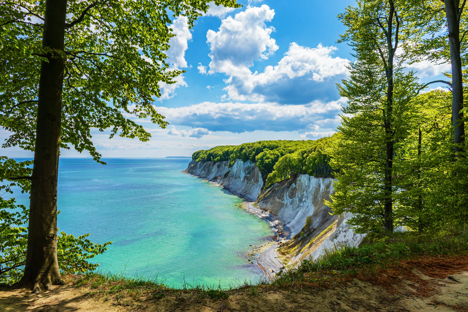 Der Nationalpark Jasmund ist ein tolles Ausflugsziel für alle, die eine spektakuläre Naturlandschaft mögen.