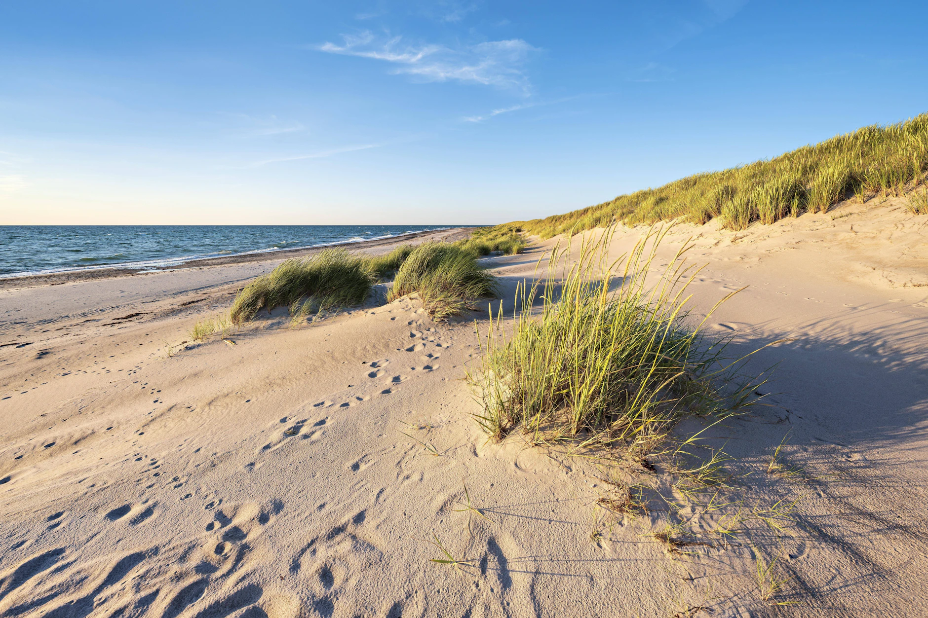 Der Weststrand auf der Halbinsel Darß gehört zu den schönsten in Mecklenburg-Vorpommern.